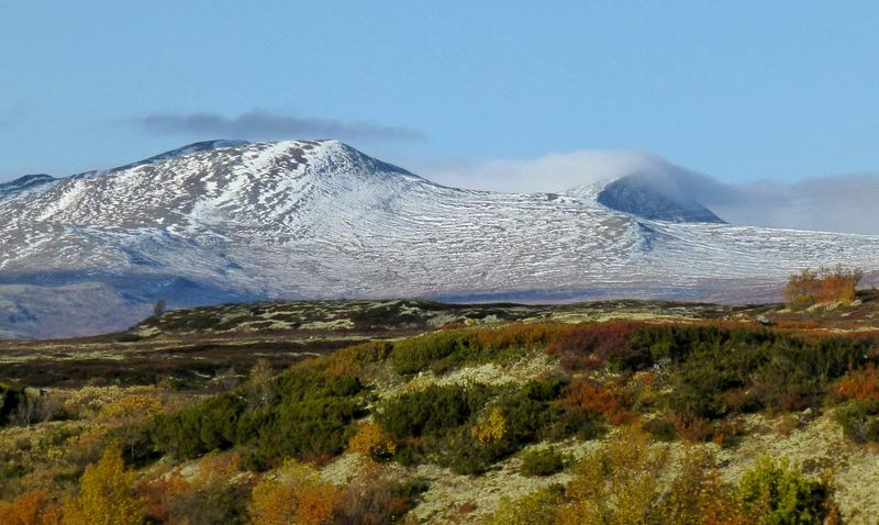 Dovrefjell