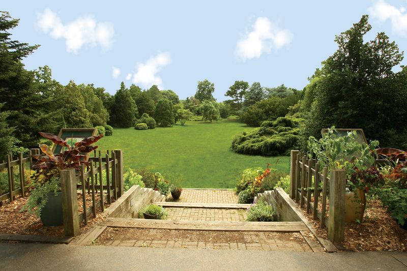 Free Admission and the Donation Model