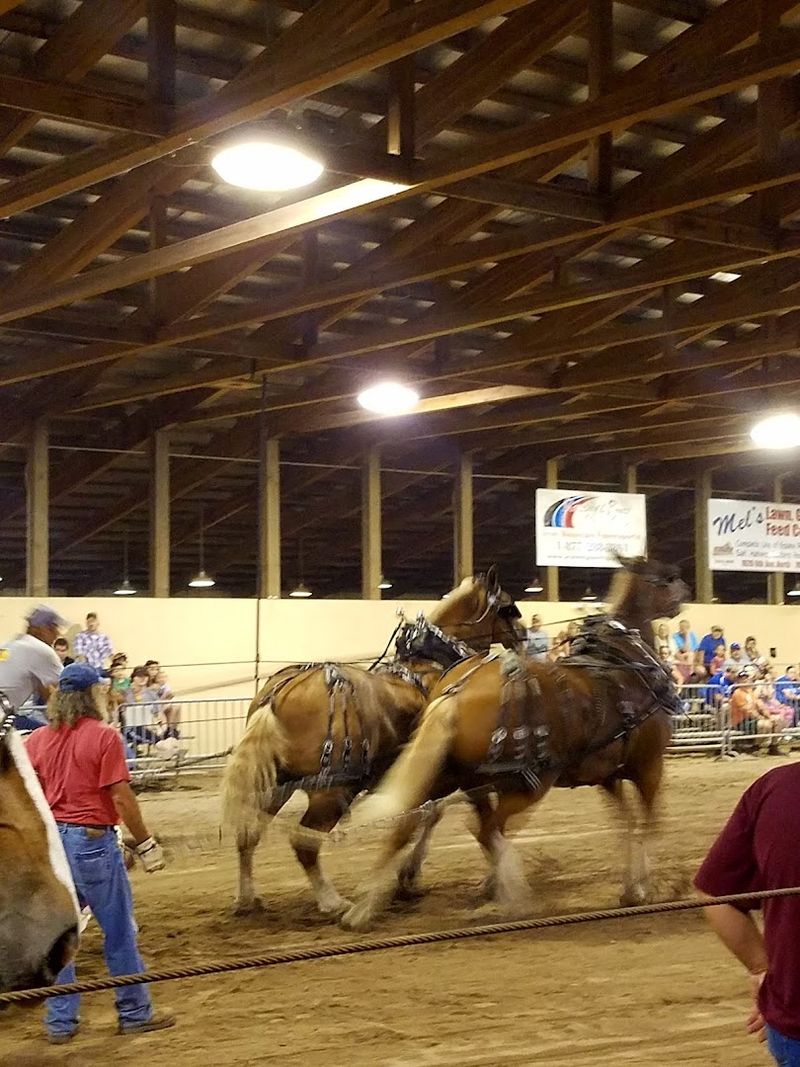 A Whole Upper Peninsula Reunion in One Place