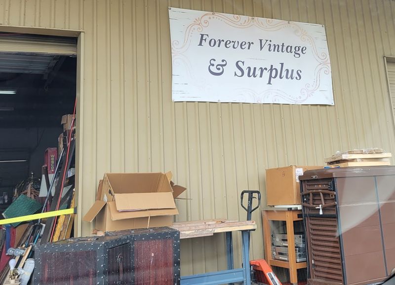 Planning Your Visit and What to Expect