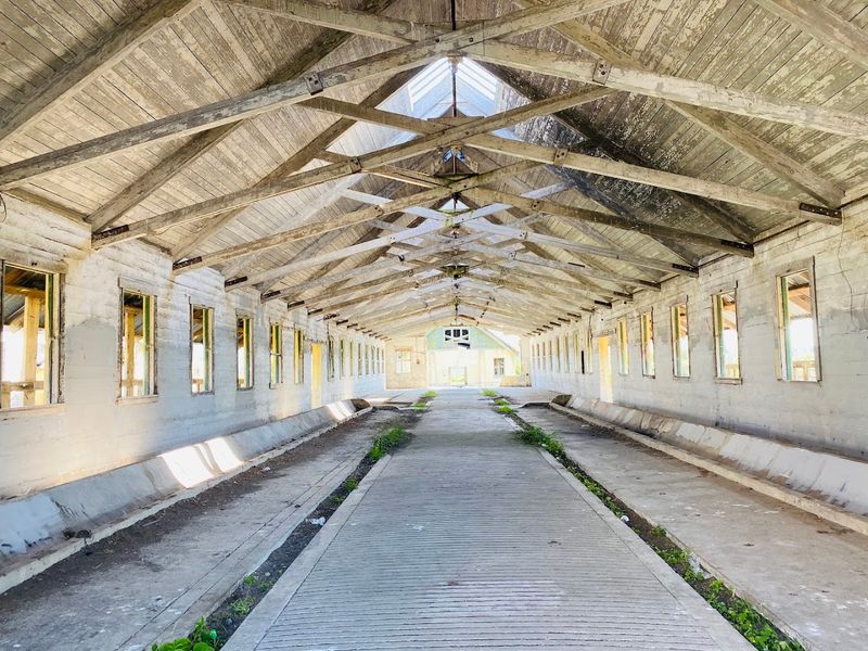 Washington: Northern State Hospital (Sedro-Woolley)