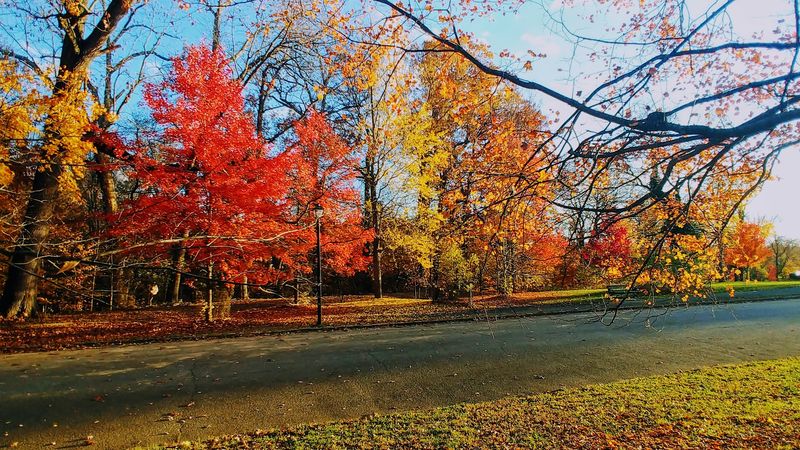 Spend a Laid-Back Afternoon in Cadwalader Park
