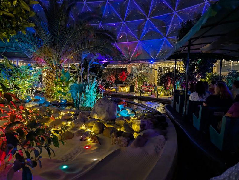 The Holiday Lights Experience