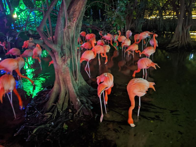 The Role of the Friends Organization