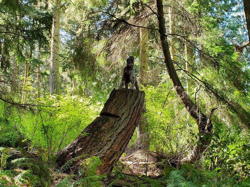 The Nature Preserve Side: More Than Just Art