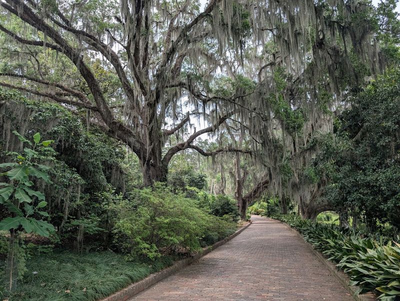 Park Hours, Fees, and Practical Tips