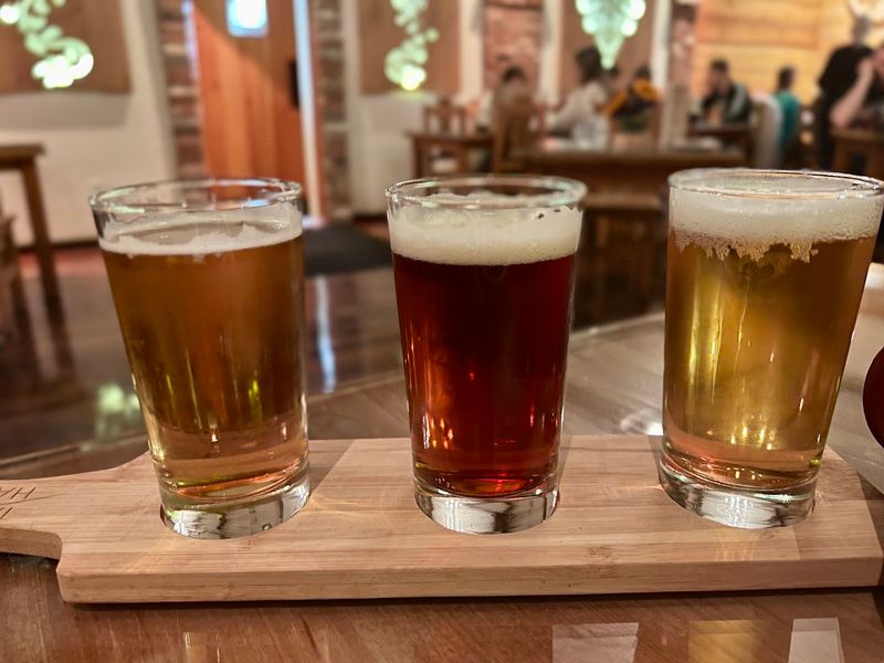 Planning Your Visit: Hours and Reservations