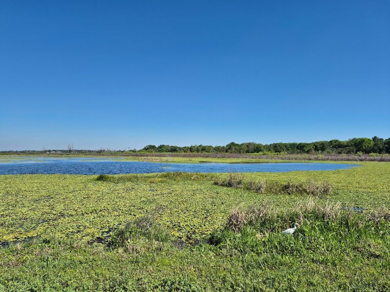 What to Pack Before You Head Out