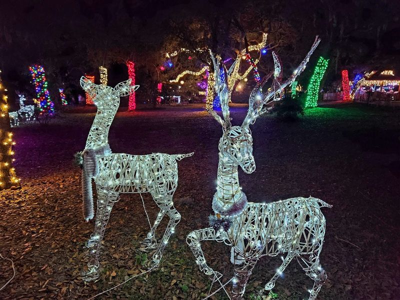 Holiday Decorations and Seasonal Events