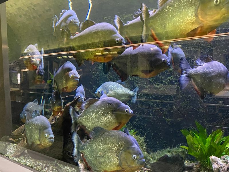 Timing Your Visit Without Overthinking It