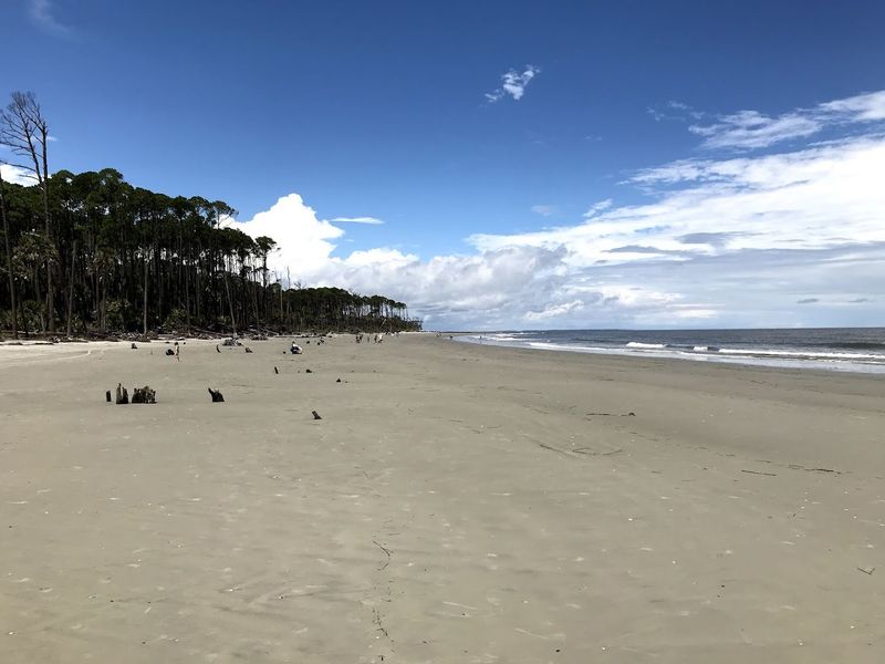 Hunting Island State Park, South Carolina