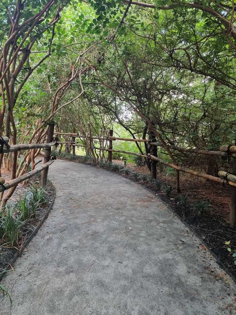 Morikami Museum & Japanese Gardens - Delray Beach