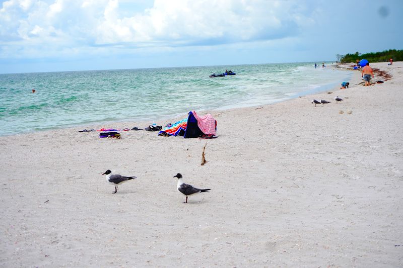 Honeymoon Island State Park