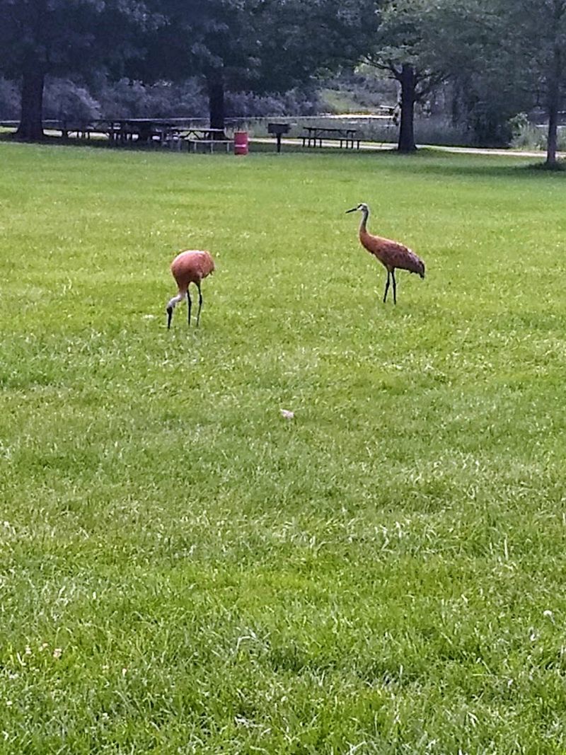 Bird Watching That Rewards the Patient Observer