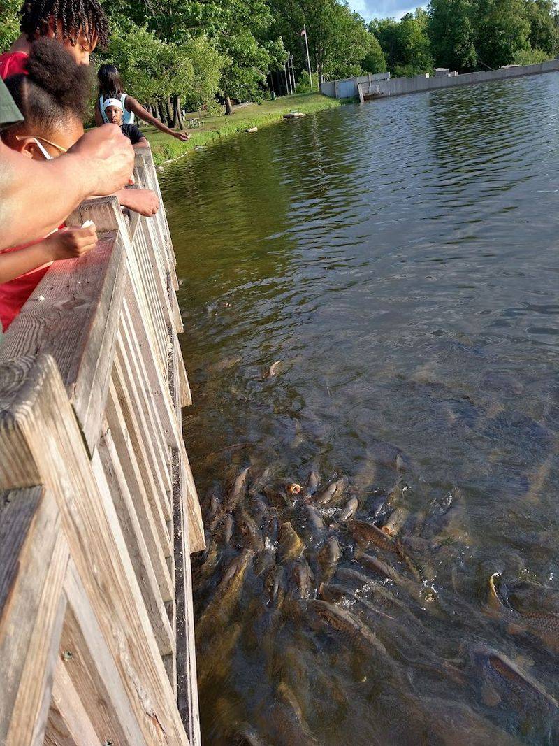 Fishing at the Falls and Holloway Reservoir