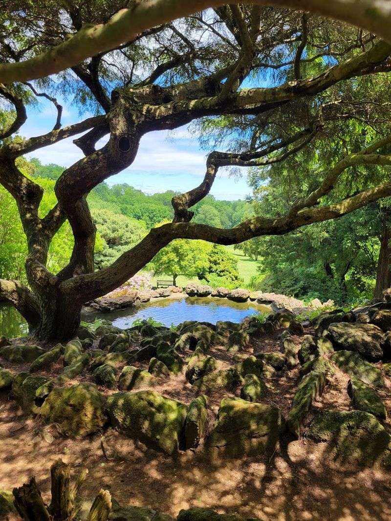 Photography Opportunities Around Every Corner