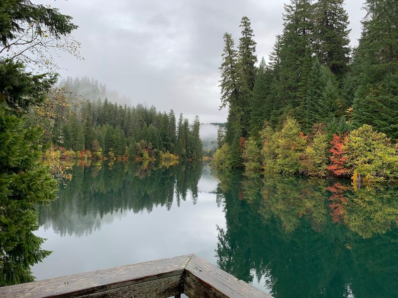 Toketee Lake Campground — Umpqua National Forest