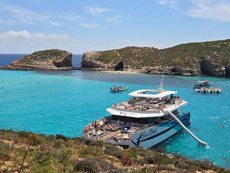 Swim in the Blue Lagoon (Comino)