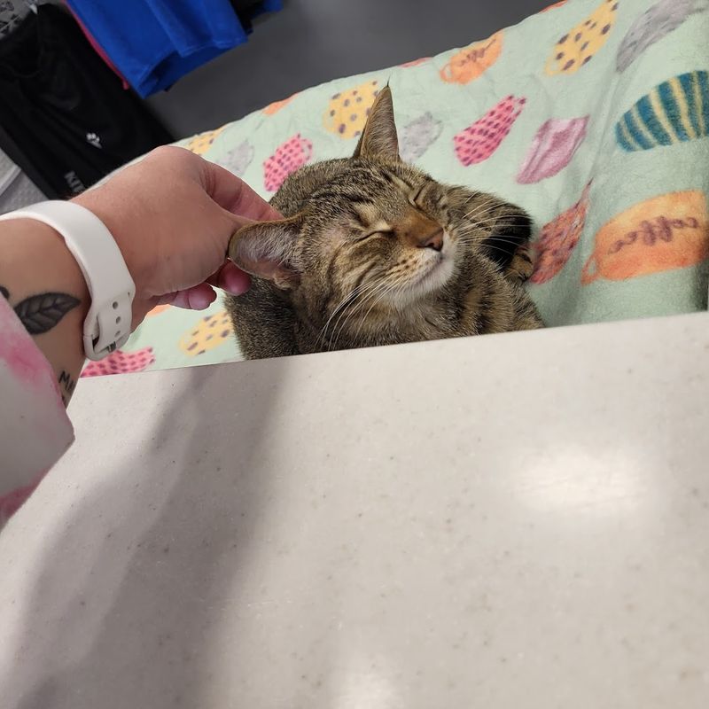 What to Know Before You Visit