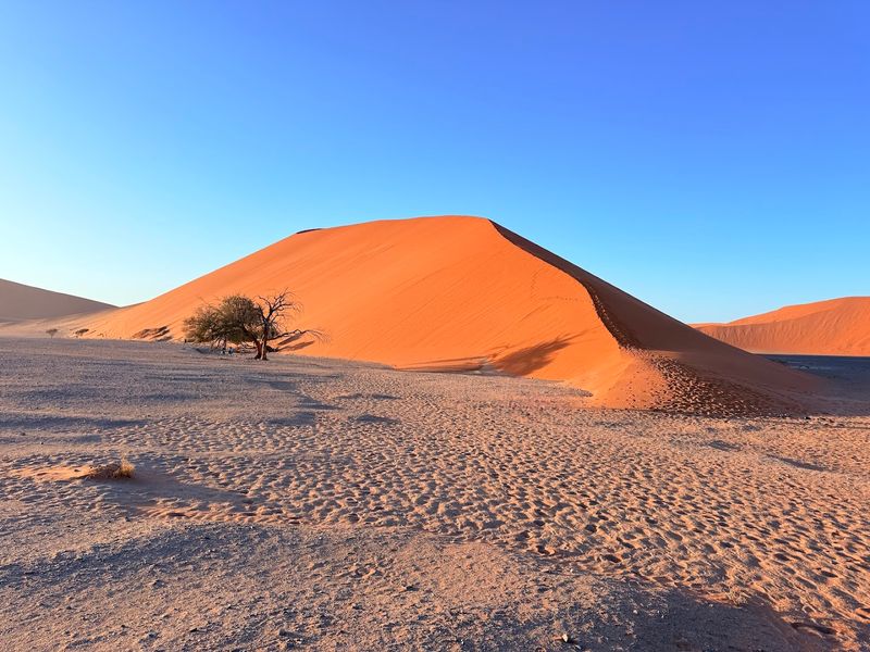 Walk the Dunes of Sossusvlei, Namibia