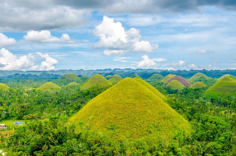 Visit the Chocolate Hills of Bohol