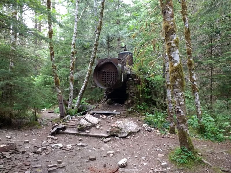 Trail Conditions and What to Expect Underfoot