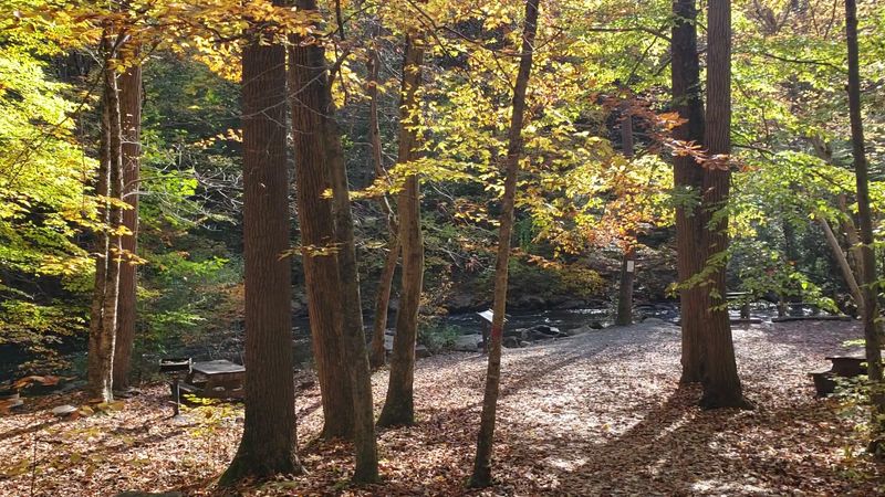 Trail Options for Every Fitness Level