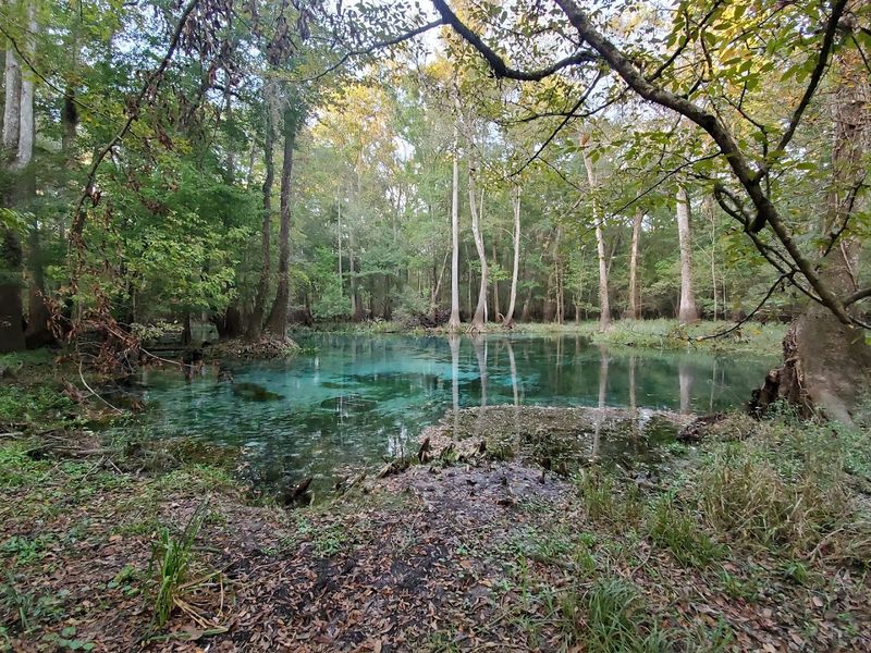 Santa Fe River near Ginnie Springs