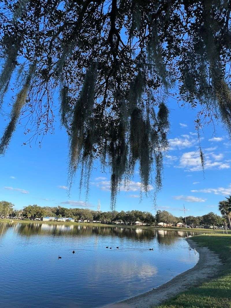 The Natural Springs That Put Zephyrhills on the Map