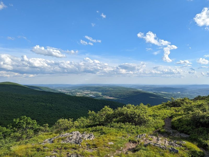 Mount Washington State Forest — South Egremont