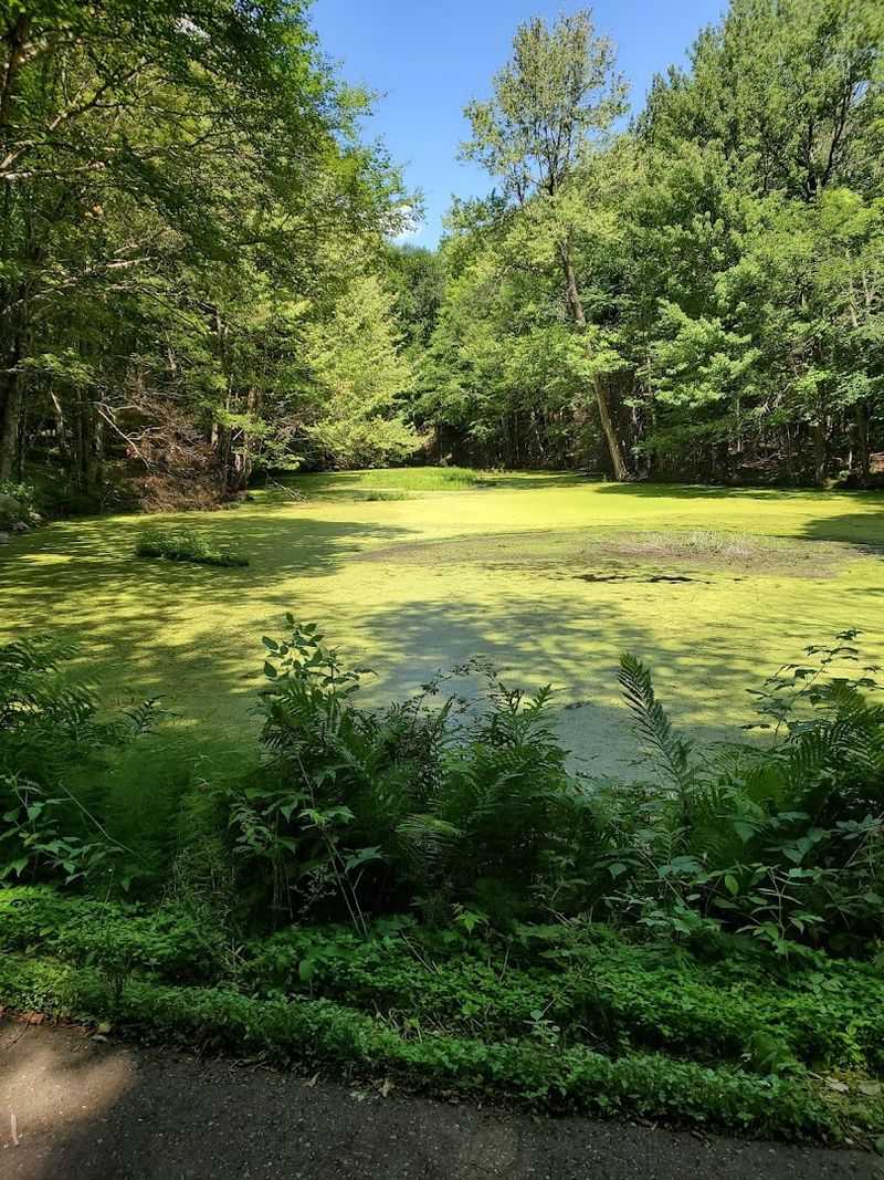 Wisconsin: Summerwind Mansion (Land O’ Lakes)