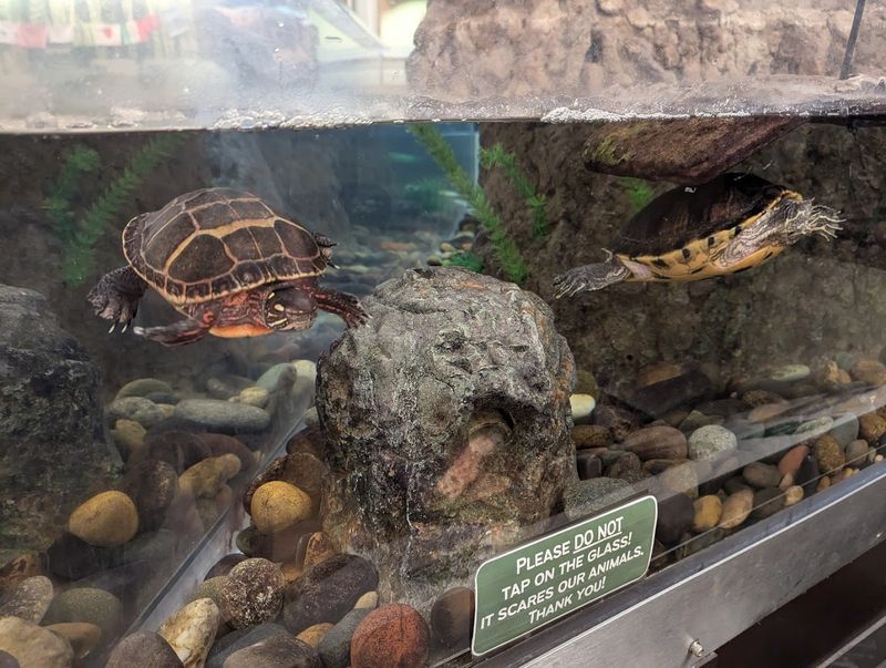 The Nature Center Building and Its Animal Residents