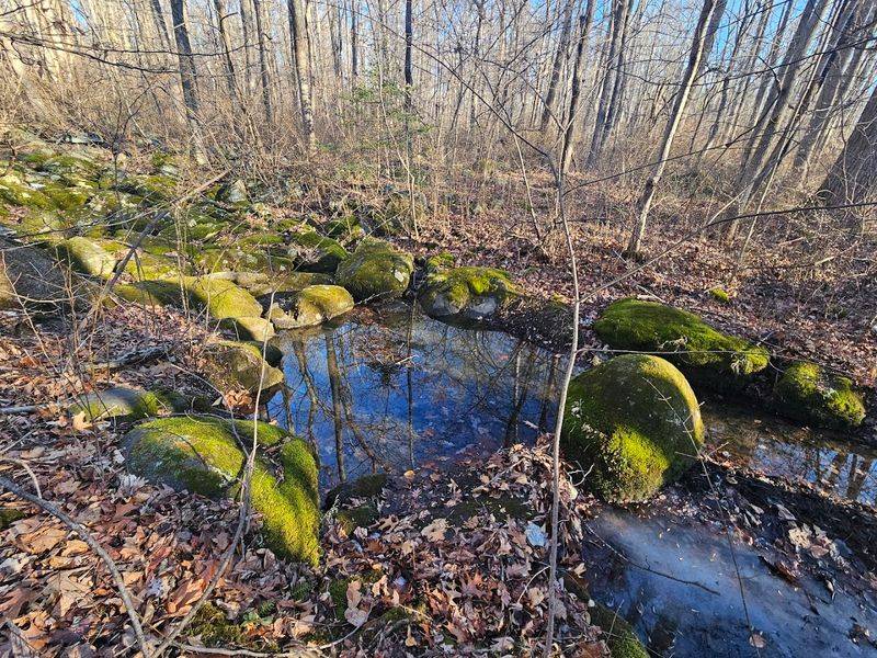 Trails for Every Kind of Walker