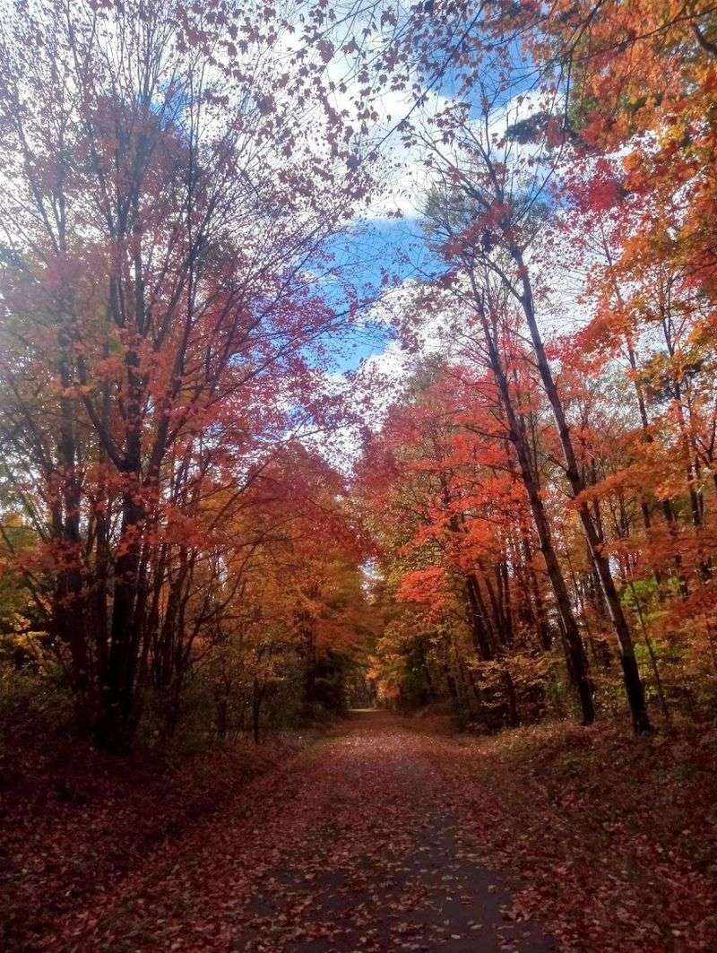 Forests, Wetlands, and Wide-Open Skies Along the Way