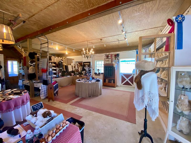 The Gift Shop and What You Can Take Home