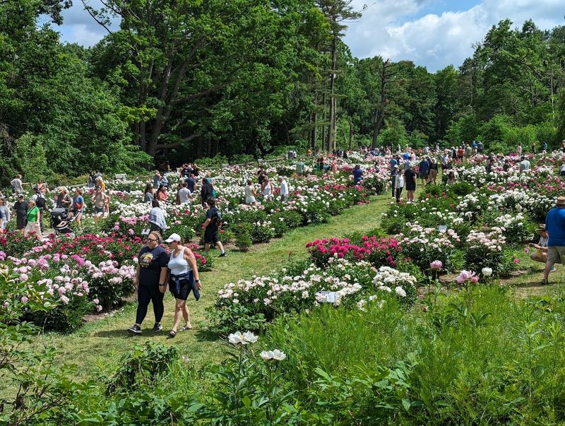 Why Dogs, Families, and Solo Wanderers All Feel Welcome Here