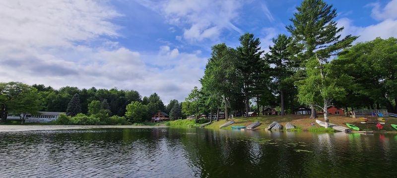 Turtle Races and Water Toys: The Small Surprises That Delight
