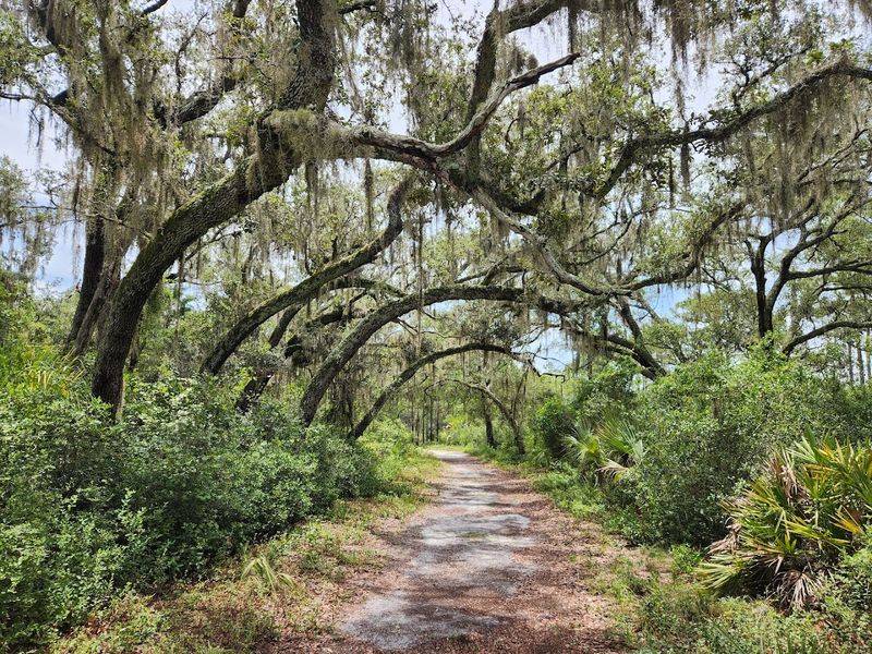 Biking and Horseback Riding Opportunities