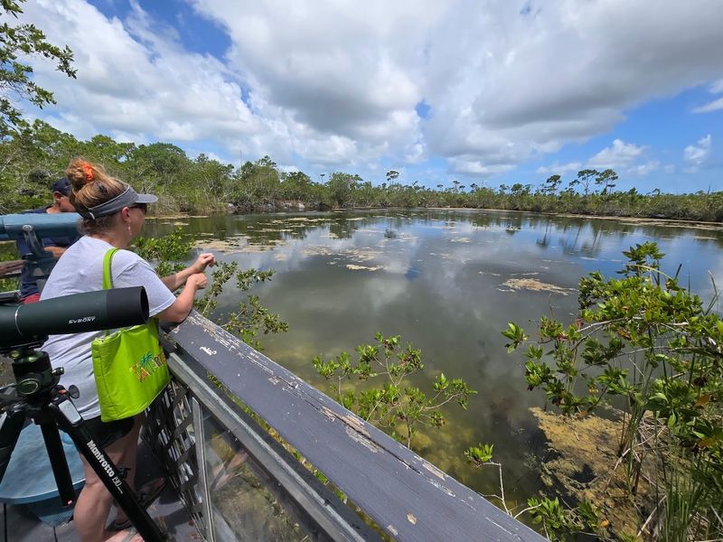 The Short Walk That Packs a Big Punch