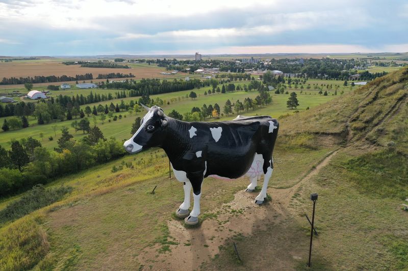 The Panoramic Views from the Hilltop