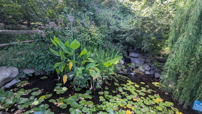 A Quiet Closing Note on Why This Place Matters