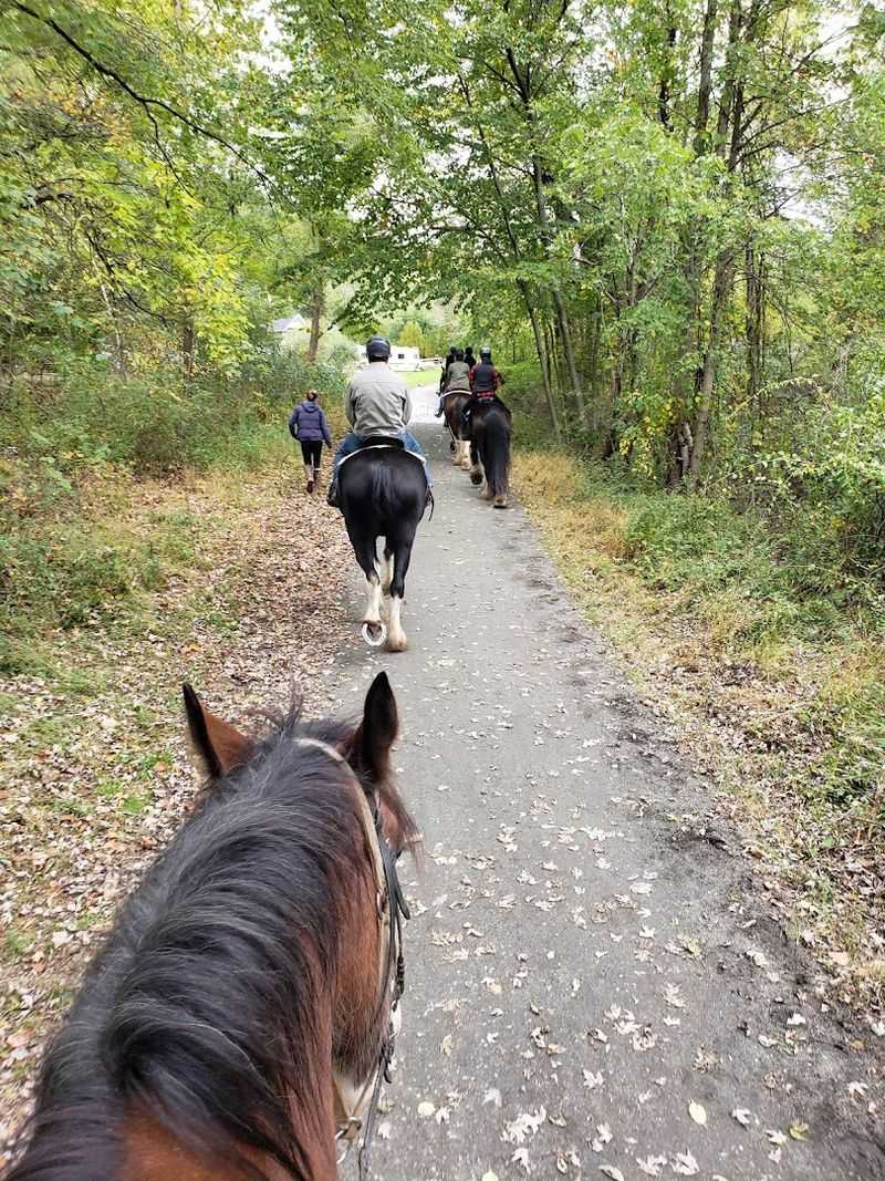 A Farm That Welcomes Beginners Without Hesitation