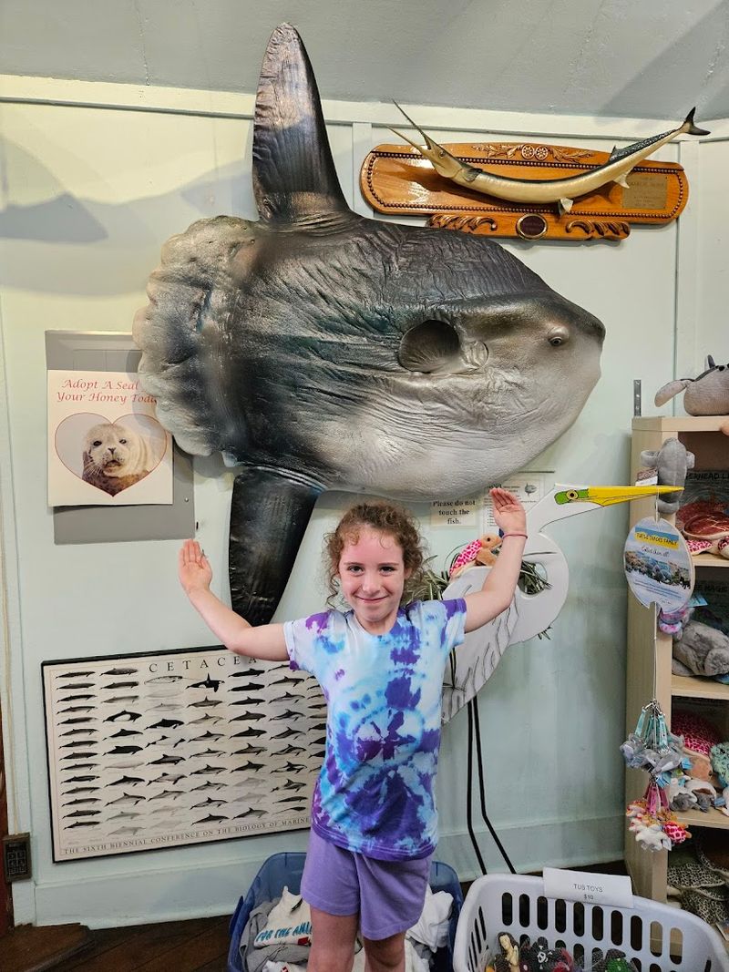 Generations of Families Keep Coming Back