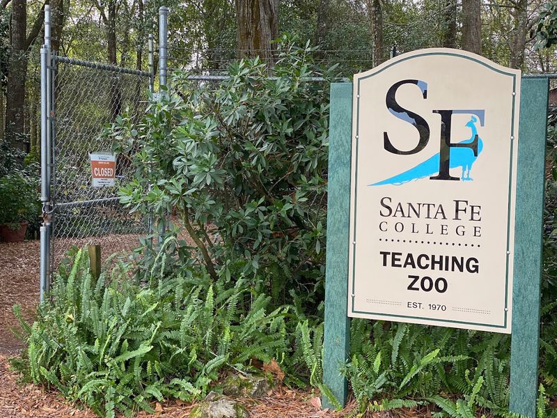 Tips for Planning Your Visit