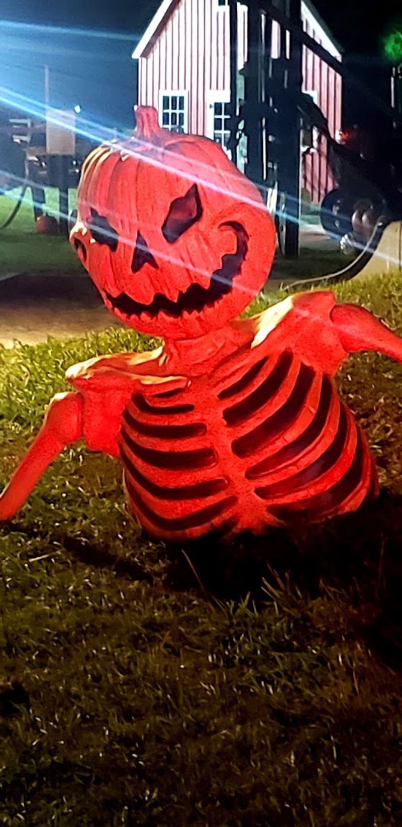 Tips for Getting the Most Out of Your Visit