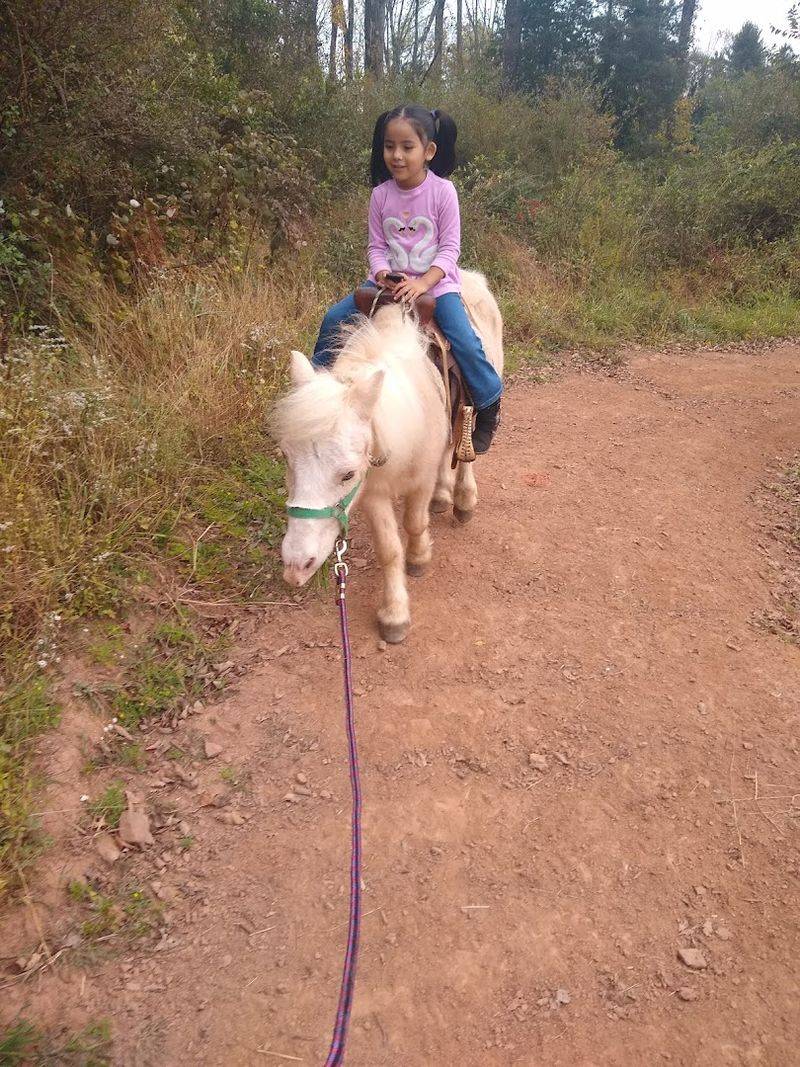 Perfect for Families With Kids