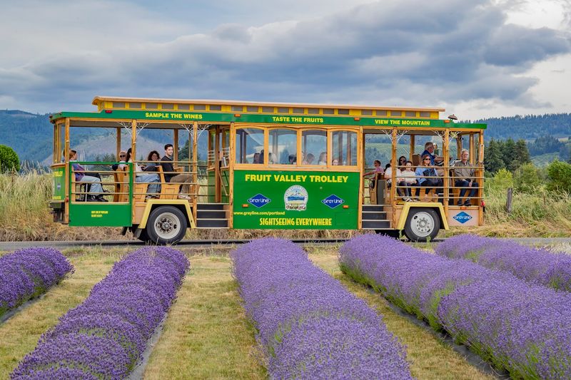 Best Times to Visit and Seasonal Highlights
