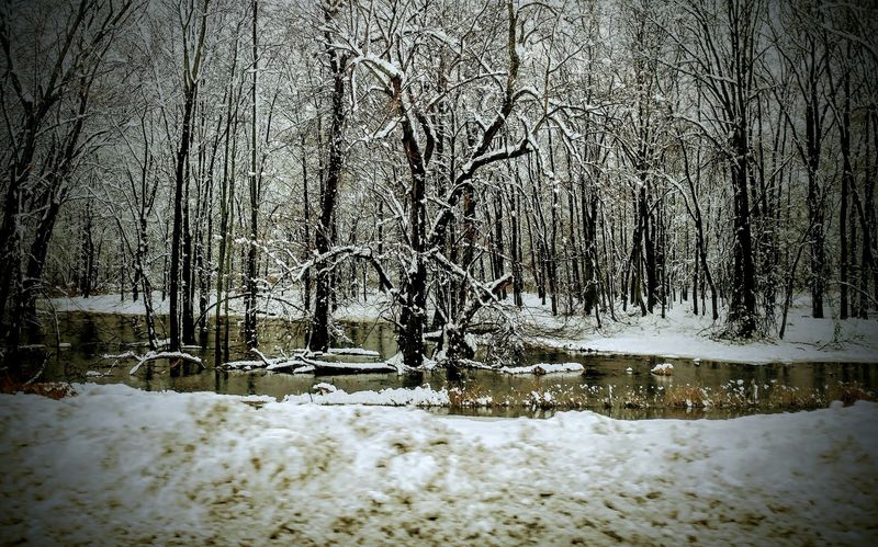 Winter Visits Have Their Own Quiet Appeal