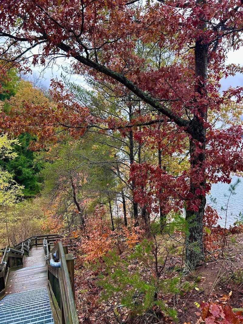 Why Fall Is the Season That Makes This Place Unforgettable