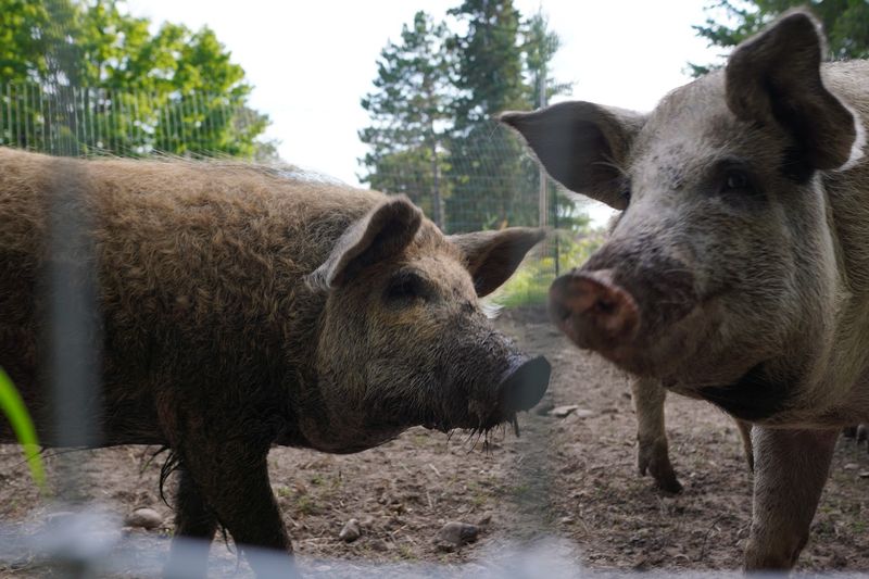 The Outdoor Space That Invites You to Linger